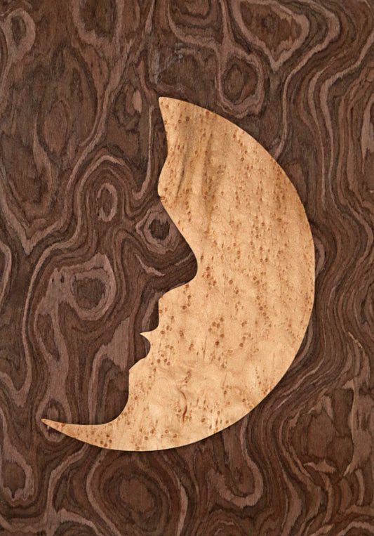 Talking to the Moon